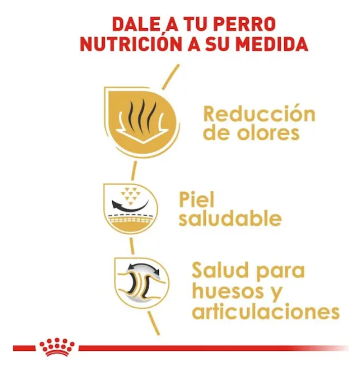 Royal Canin French Bulldog adulto 4.5 kg - Alimento seco para perro adulto raza bulldog francés