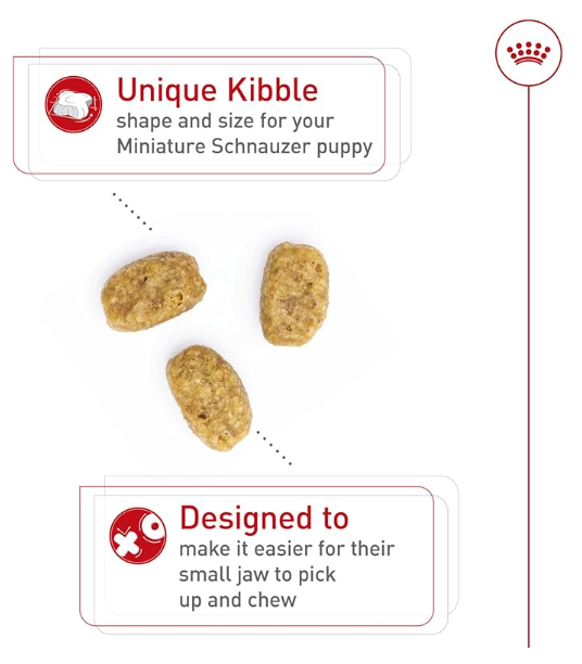 Alimento Royal Canin Miniature Schnauzer Puppy 1.1 Kg | Perros Cachorros Schnauzer hasta 10 meses
