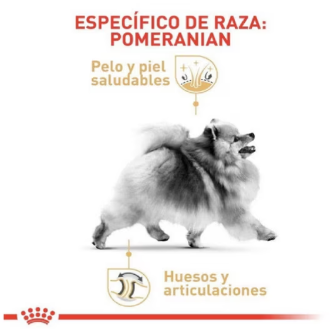 Royal Canin Pomeranian Adulto 4.5 kg - Alimento Seco para Perro Adulto Raza Pomerania