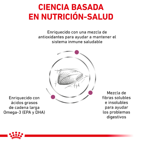 Royal Canin Veterinary Diet Renal Support F 3 kg - Alimento Seco para Gato con insuficiencia renal