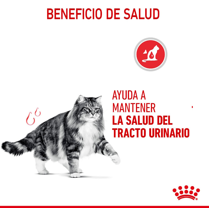 Royal Canin Urinary Care Gatos 145 g - Alimento Húmedo en Salsa