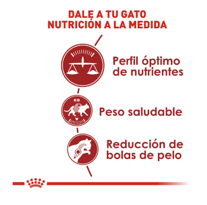 Royal Canin Fit and Active 3.1 Kg - Alimento Seco para Gatos Adultos Activos