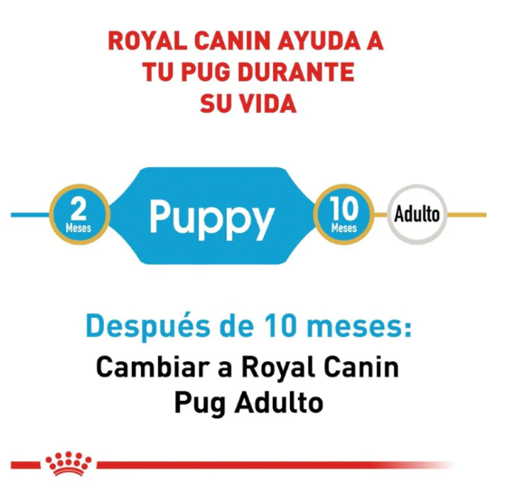 Royal Canin Pug Puppy | Alimento Especializado para Cachorro Pug | 1.1 kg