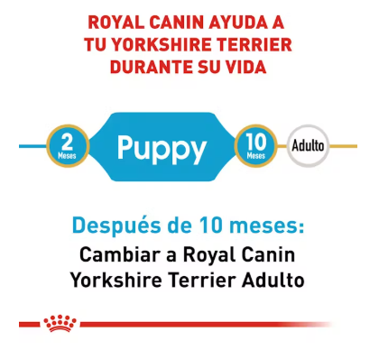 Royal Canin Yorkshire Terrier Puppy 1.1 Kg - Alimento Seco para Cachorro