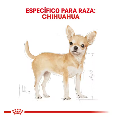 Royal Canin Chihuahua Adulto 4.5 kg - Alimento Especializado para perro raza Chihuahua