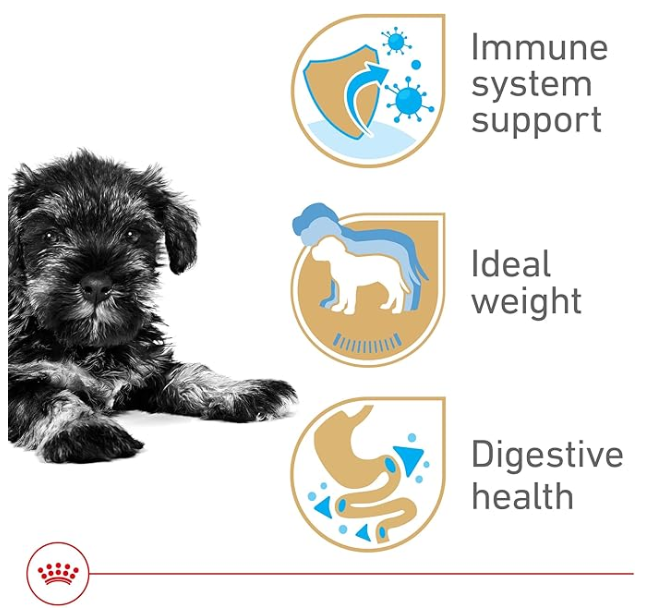 Alimento Royal Canin Miniature Schnauzer Puppy 1.1 Kg | Perros Cachorros Schnauzer hasta 10 meses