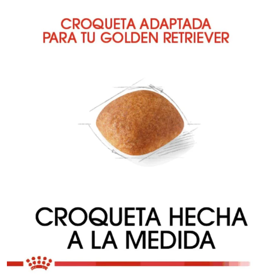 Royal Canin Alimento Seco para Perro Adulto Raza Golden Retriever 13.6 Kg