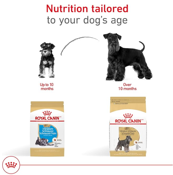 Alimento Royal Canin Miniature Schnauzer Puppy 1.1 Kg | Perros Cachorros Schnauzer hasta 10 meses
