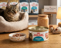 Royal Canin Urinary Care Gatos 145 g - Alimento Húmedo en Salsa